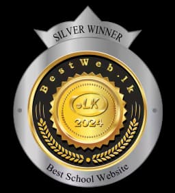 Best School Website - Silver Award