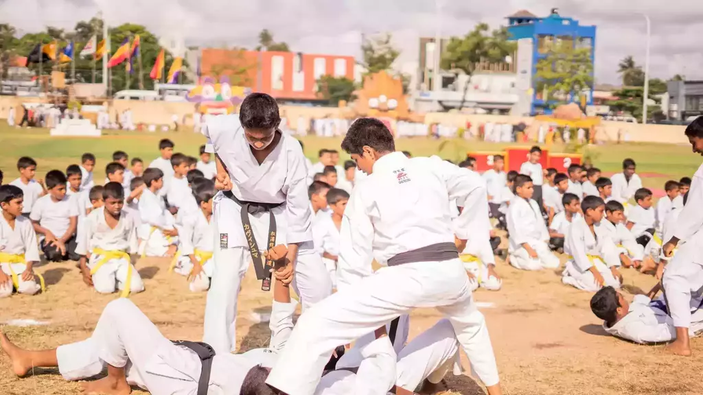 Image depicting various combat sports