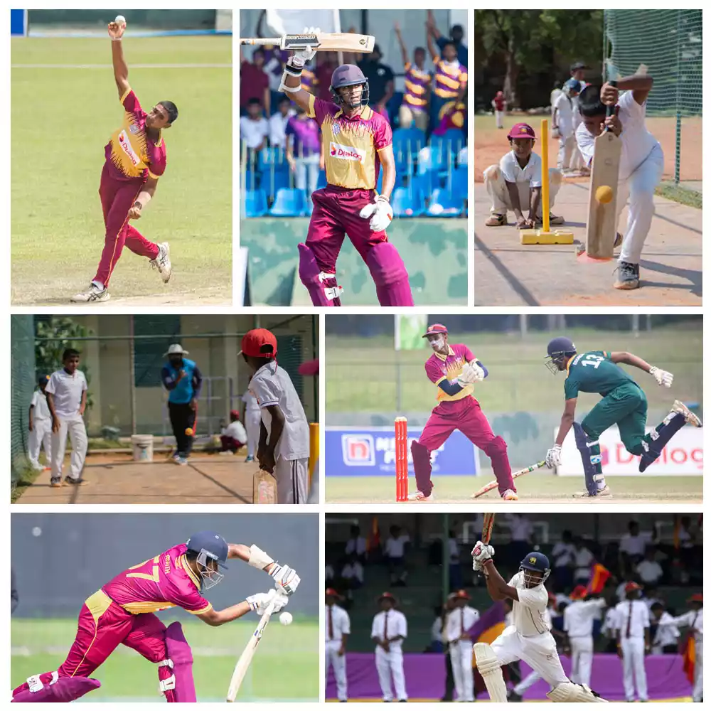 CRICKET