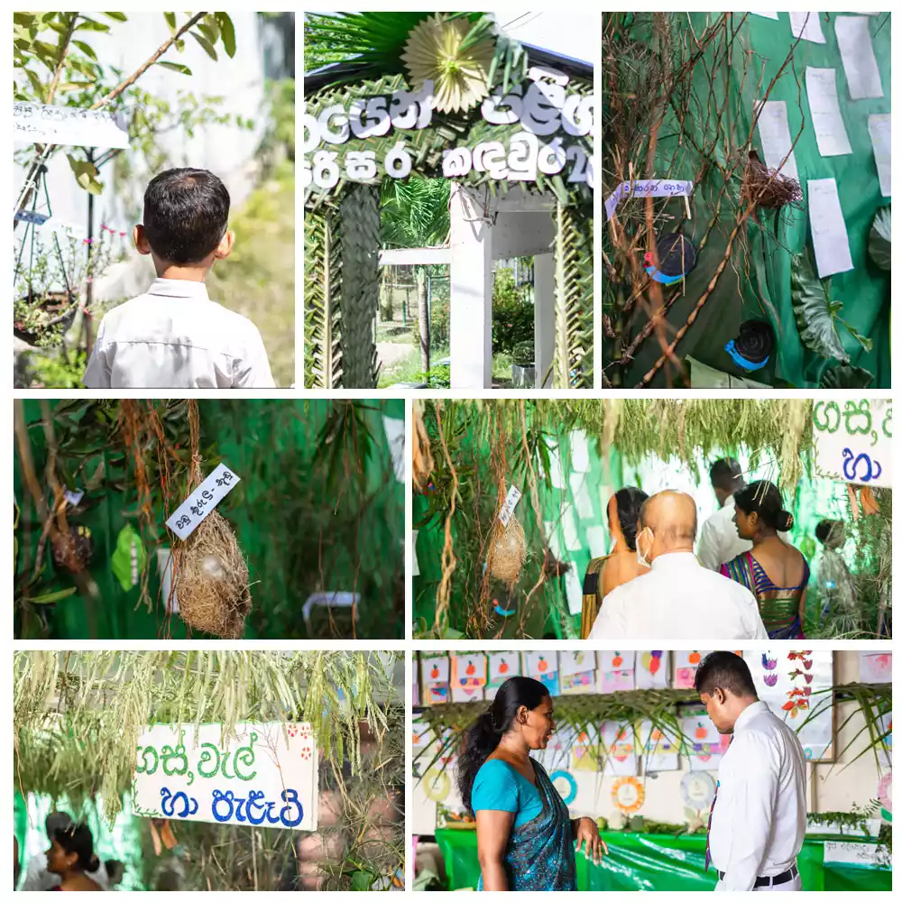 Environment Club