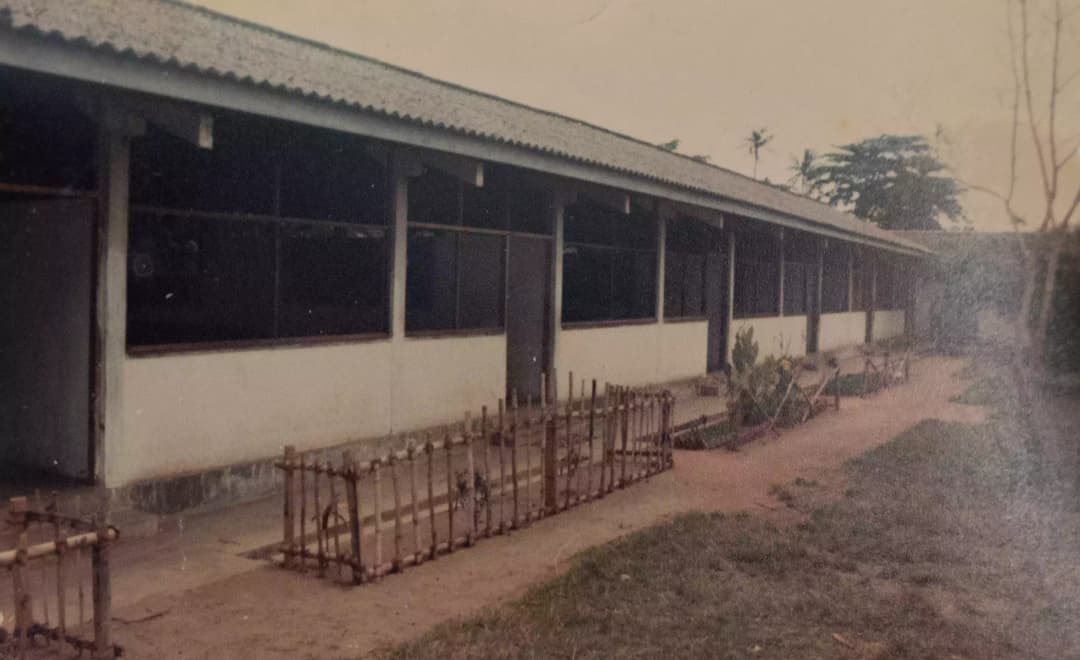 Museum Archieves