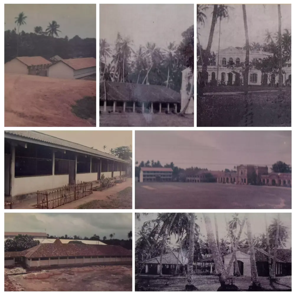 Museum Archieves