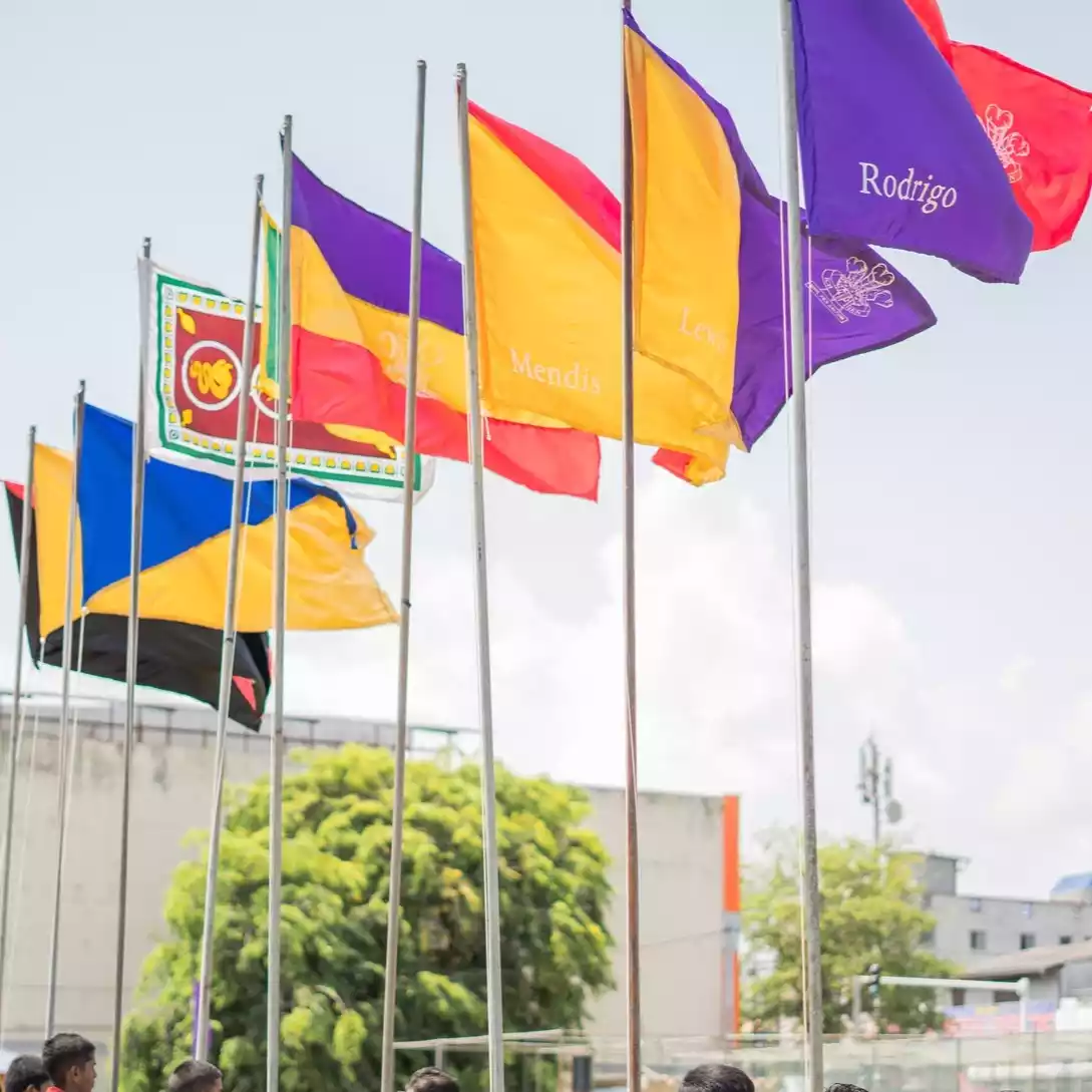 house flags