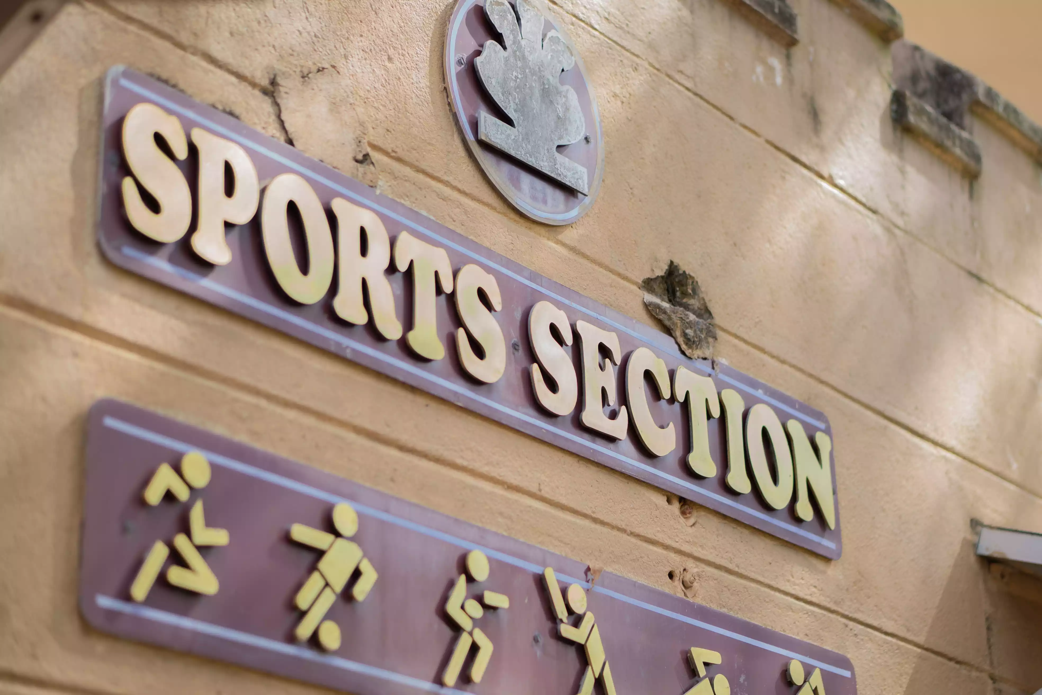 Sports Section