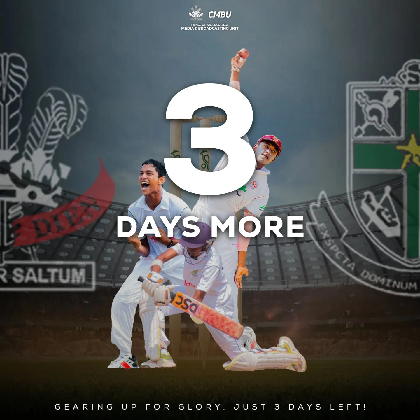 3 Days Left: The Battle of the Golds Is Coming!